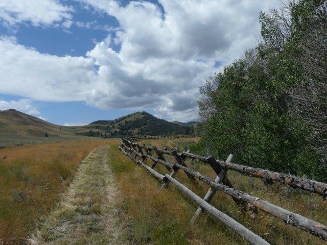 503 Antelope Creek Road Moore, ID 83255 - Photo 19 of 40 P1060752