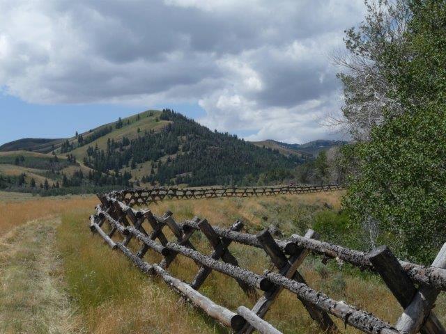 503 Antelope Creek Road Moore, ID 83255 - Photo 20 of 40 P1060753