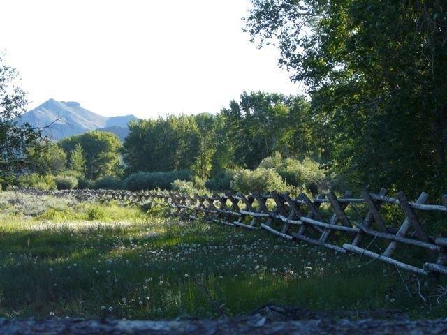 503 Antelope Creek Road Moore, ID 83255 - Photo 2 of 40 P1010925