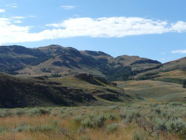 503 Antelope Creek Road Moore, ID 83255 - Photo 22 of 40 P1060768
