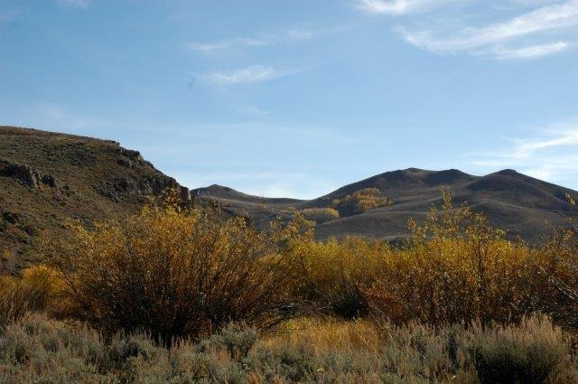 503 Antelope Creek Road Moore, ID 83255 - Photo 23 of 40 _DSC3286