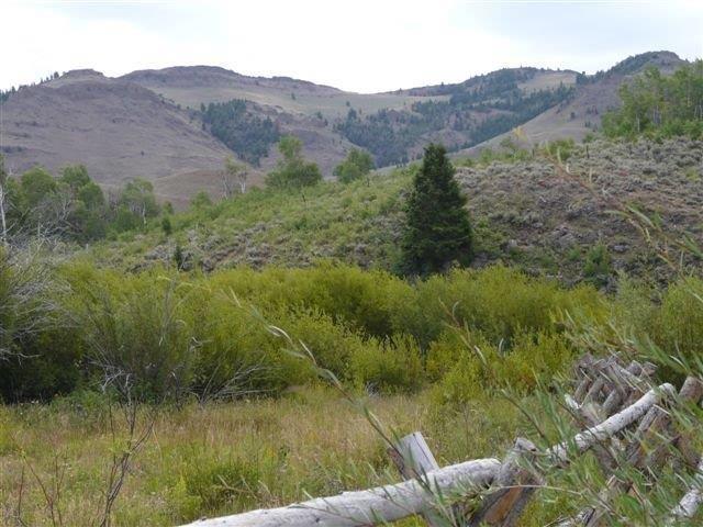 503 Antelope Creek Road Moore, ID 83255 - Photo 24 of 40 P1020133
