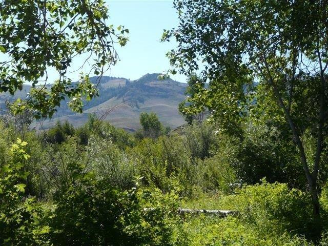 503 Antelope Creek Road Moore, ID 83255 - Photo 25 of 40 P1020115