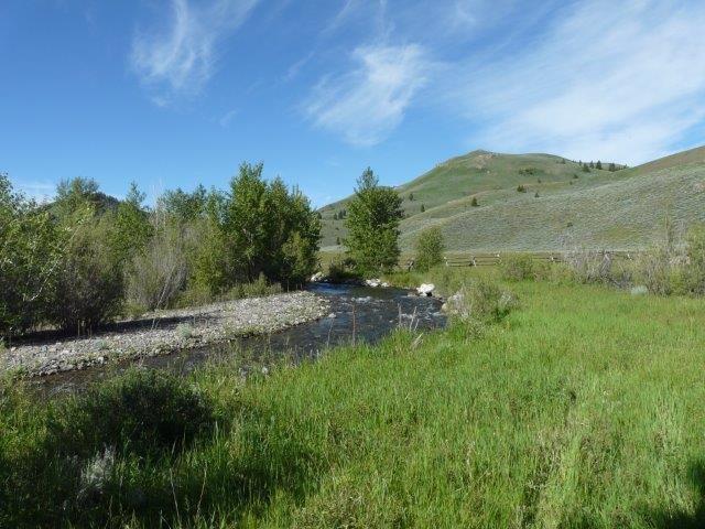 503 Antelope Creek Road Moore, ID 83255 - Photo 26 of 40 P1060691