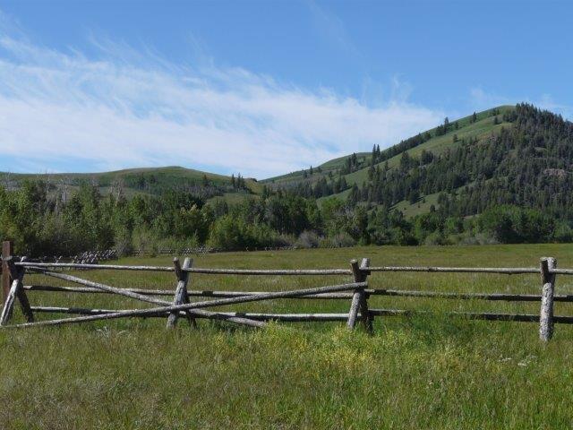 503 Antelope Creek Road Moore, ID 83255 - Photo 27 of 40 P1060681