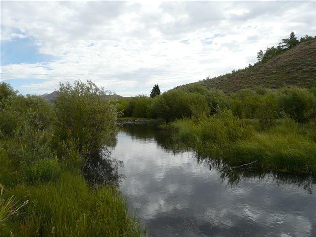 503 Antelope Creek Road Moore, ID 83255 - Photo 28 of 40 P1020151