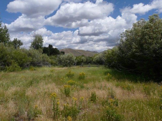 503 Antelope Creek Road Moore, ID 83255 - Photo 29 of 40 P1060763