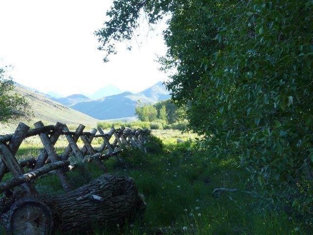 503 Antelope Creek Road Moore, ID 83255 - Photo 3 of 40 P1010949