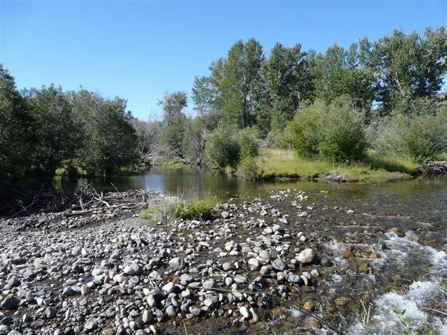503 Antelope Creek Road Moore, ID 83255 - Photo 31 of 40 P1020101
