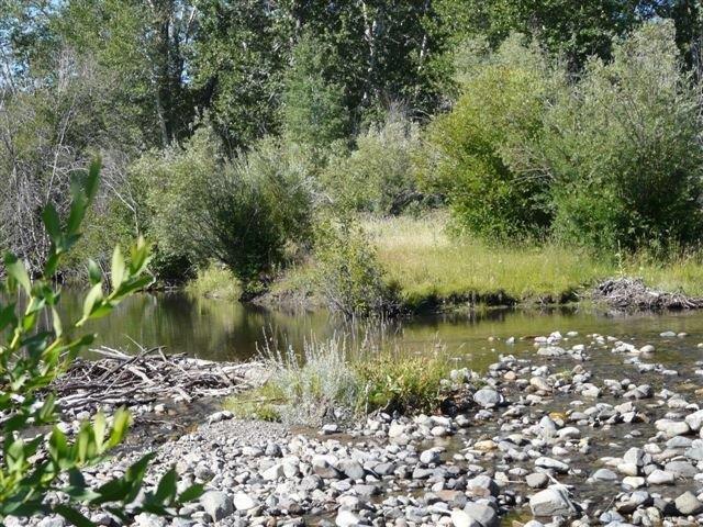 503 Antelope Creek Road Moore, ID 83255 - Photo 32 of 40 P1020107