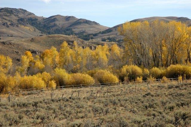 503 Antelope Creek Road Moore, ID 83255 - Photo 35 of 40 _DSC3264