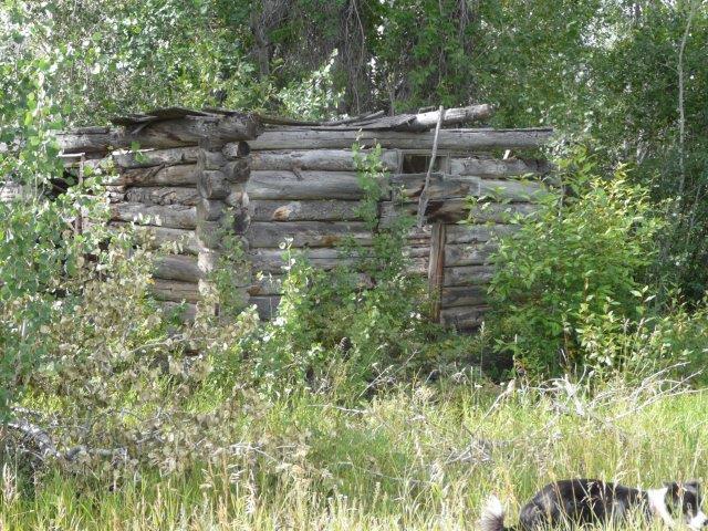 503 Antelope Creek Road Moore, ID 83255 - Photo 37 of 40 P1020170