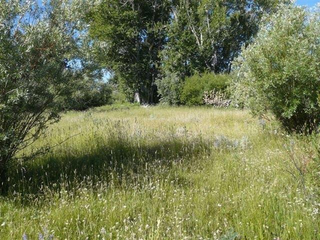 503 Antelope Creek Road Moore, ID 83255 - Photo 40 of 40 P1020098