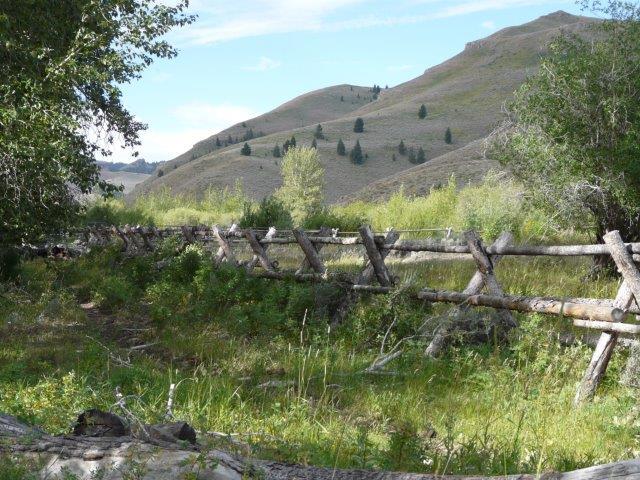 503 Antelope Creek Road Moore, ID 83255 - Photo 4 of 40 P1020178