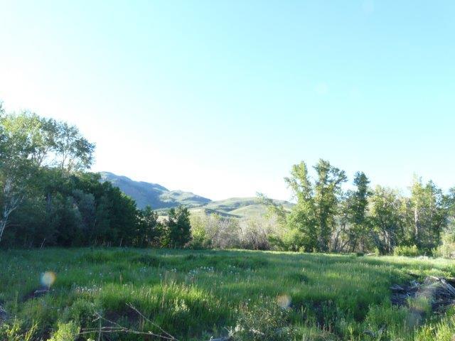 503 Antelope Creek Road Moore, ID 83255 - Photo 5 of 40 P1010928