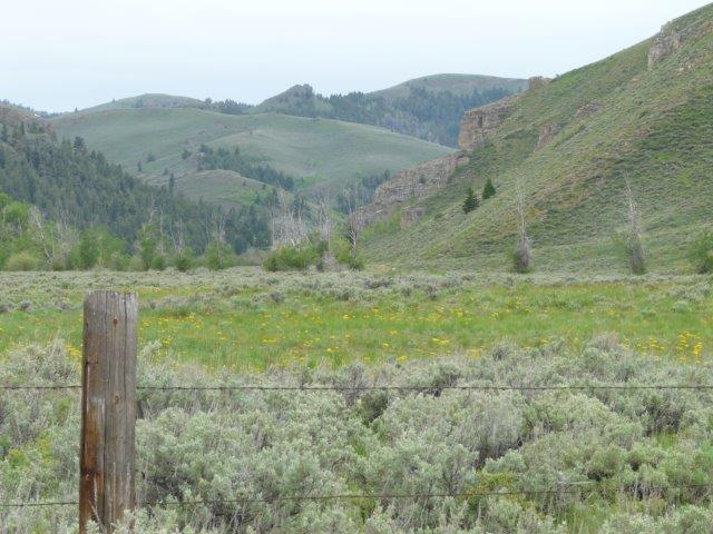 503 Antelope Creek Road Moore, ID 83255 - Photo 8 of 40 P1010885