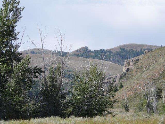 503 Antelope Creek Road Moore, ID 83255 - Photo 9 of 40 P1020196