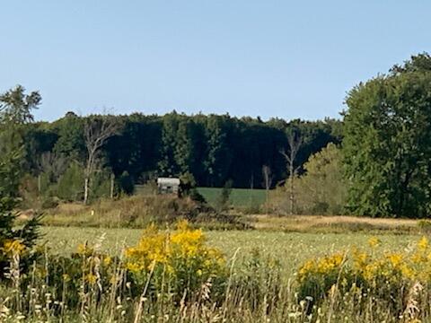 West Lacomb Road Posen, MI 49776 - Photo 6 of 8 Gallery Image 6