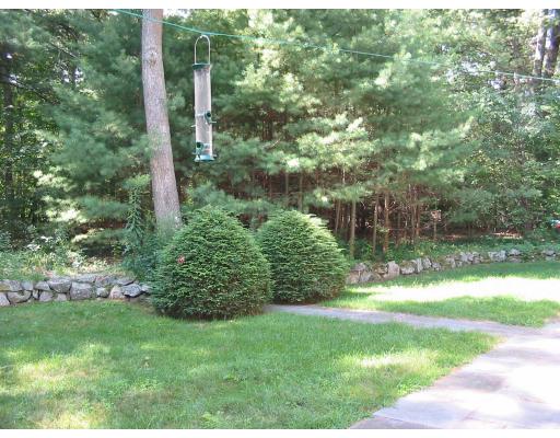 25 Forest Road Millis, MA 02054 - Photo 19 of 19 Gallery Image 19