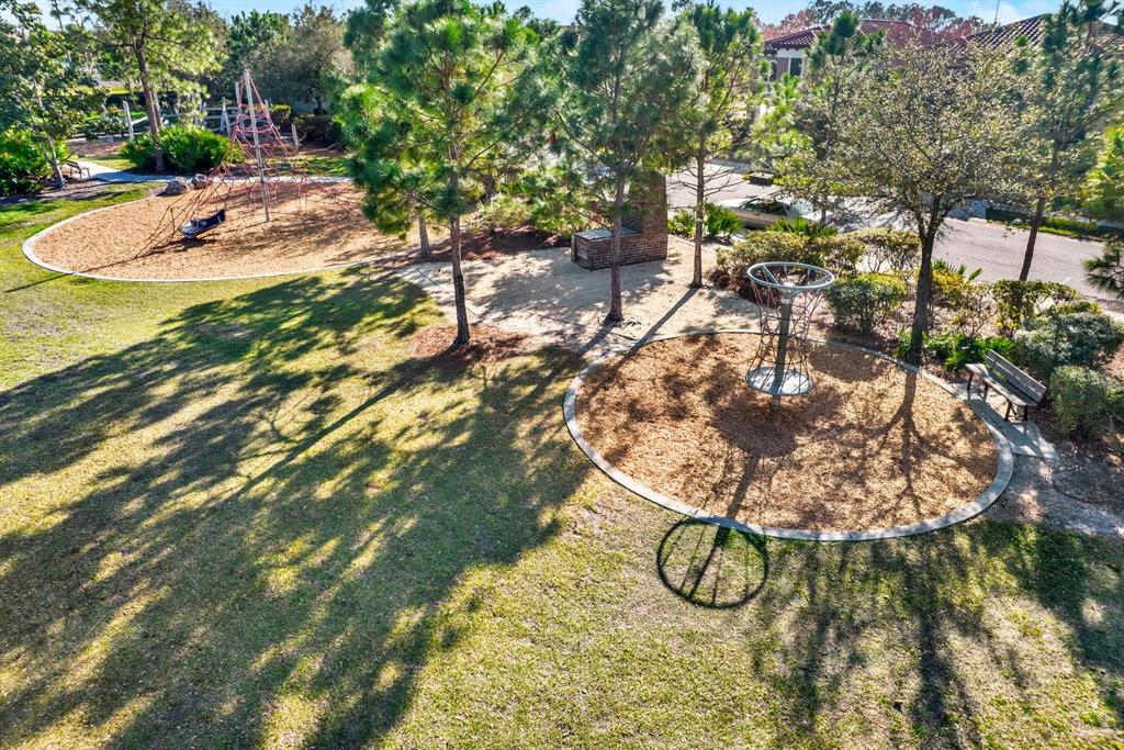 13729 Rangeland Boulevard Odessa, FL 33556 - Photo 28 of 30 a picture of trees