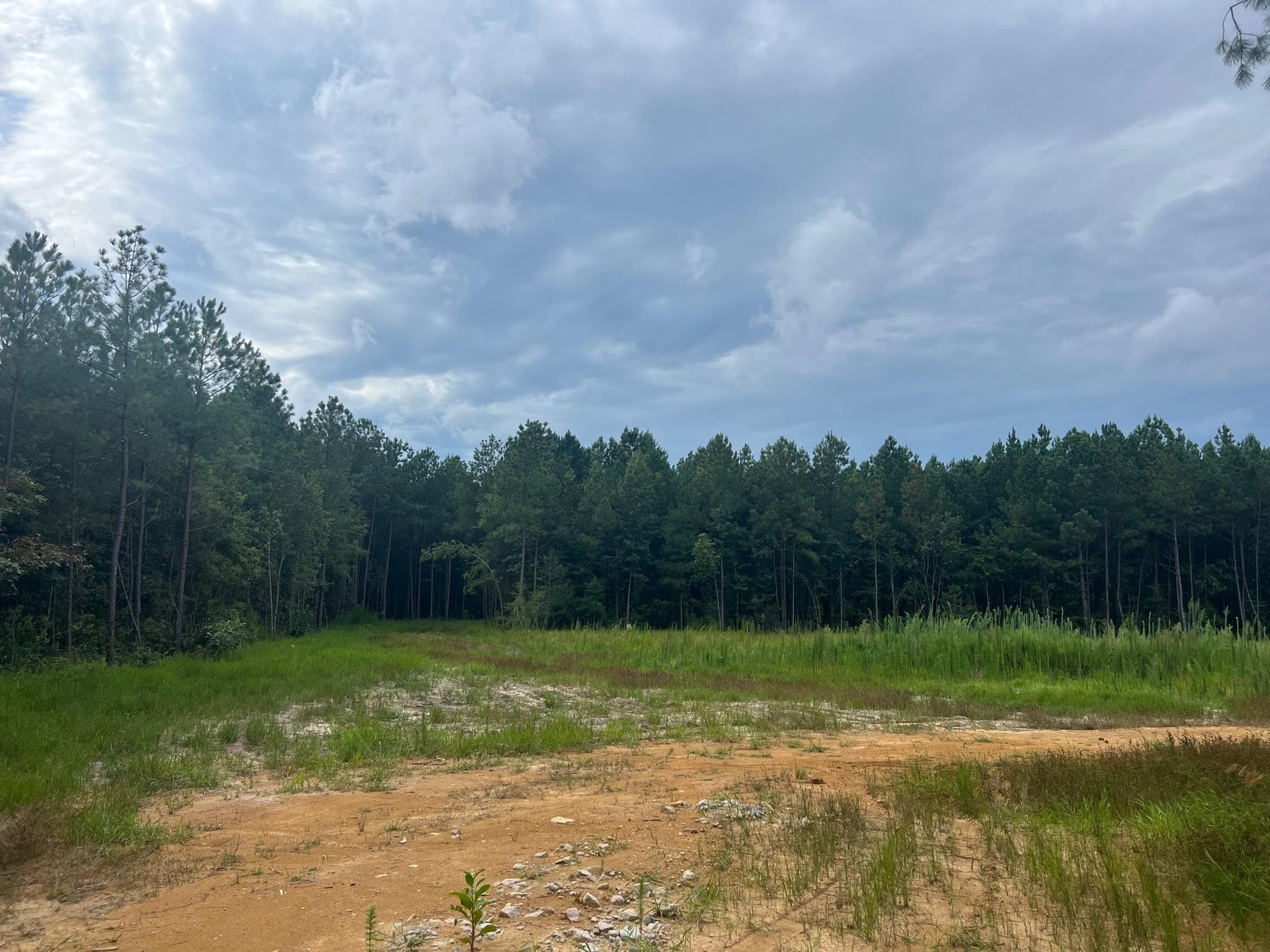 Frazier Rd Spring Spring Hope, NC 27882 - Photo 6 of 7 Photo 6