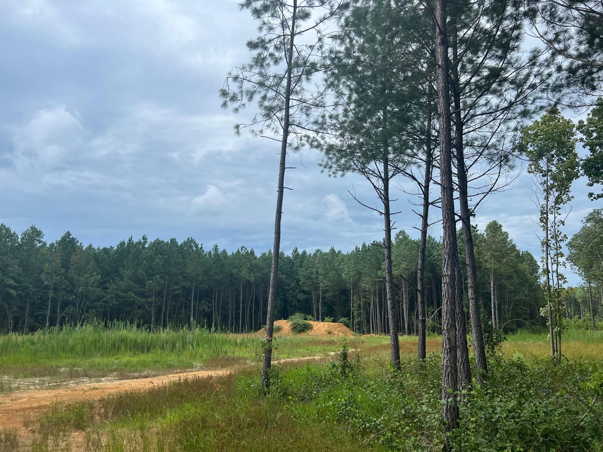 Frazier Rd Spring Spring Hope, NC 27882 - Photo 7 of 7 Photo 7