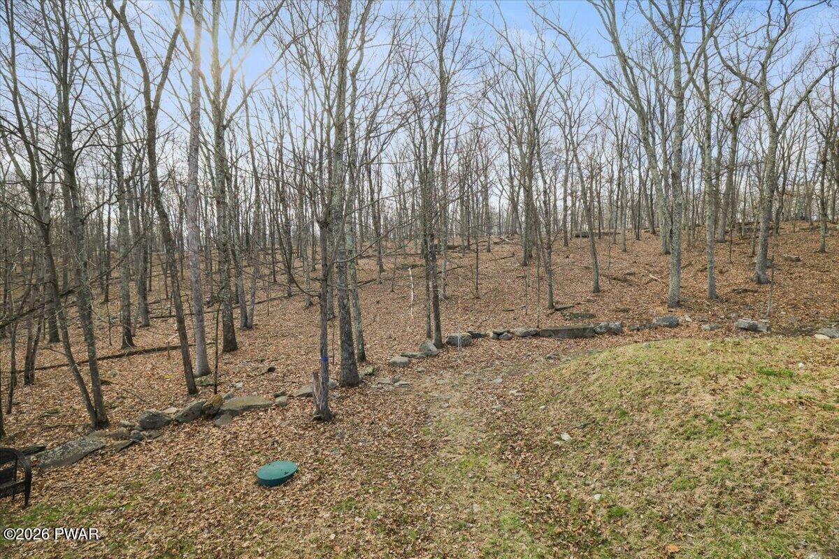 297 Gold Finch Road Bushkill, PA 18324 - Photo 42 of 46