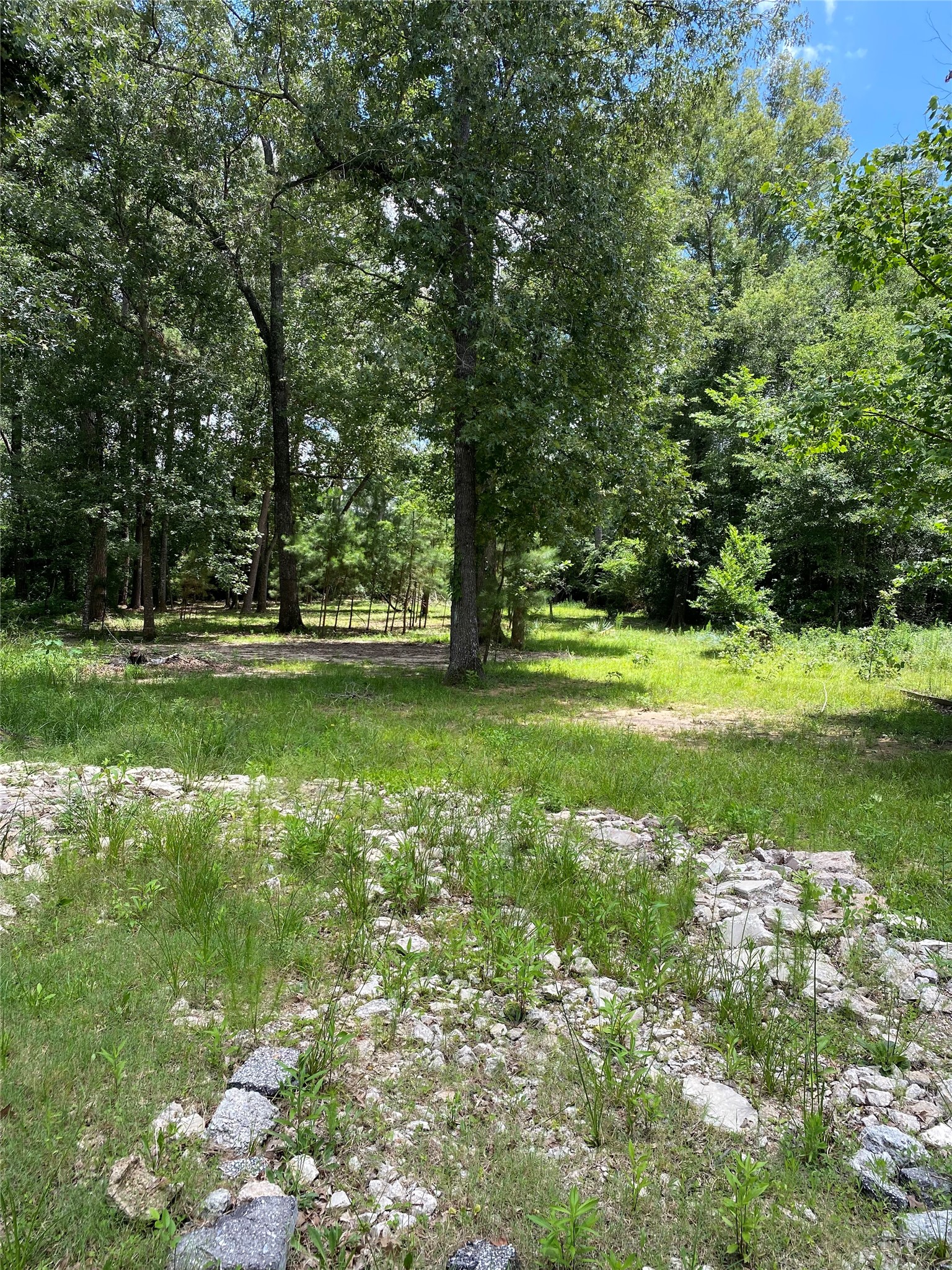 26687 Long Street Splendora, TX 77372 - Photo 19 of 20