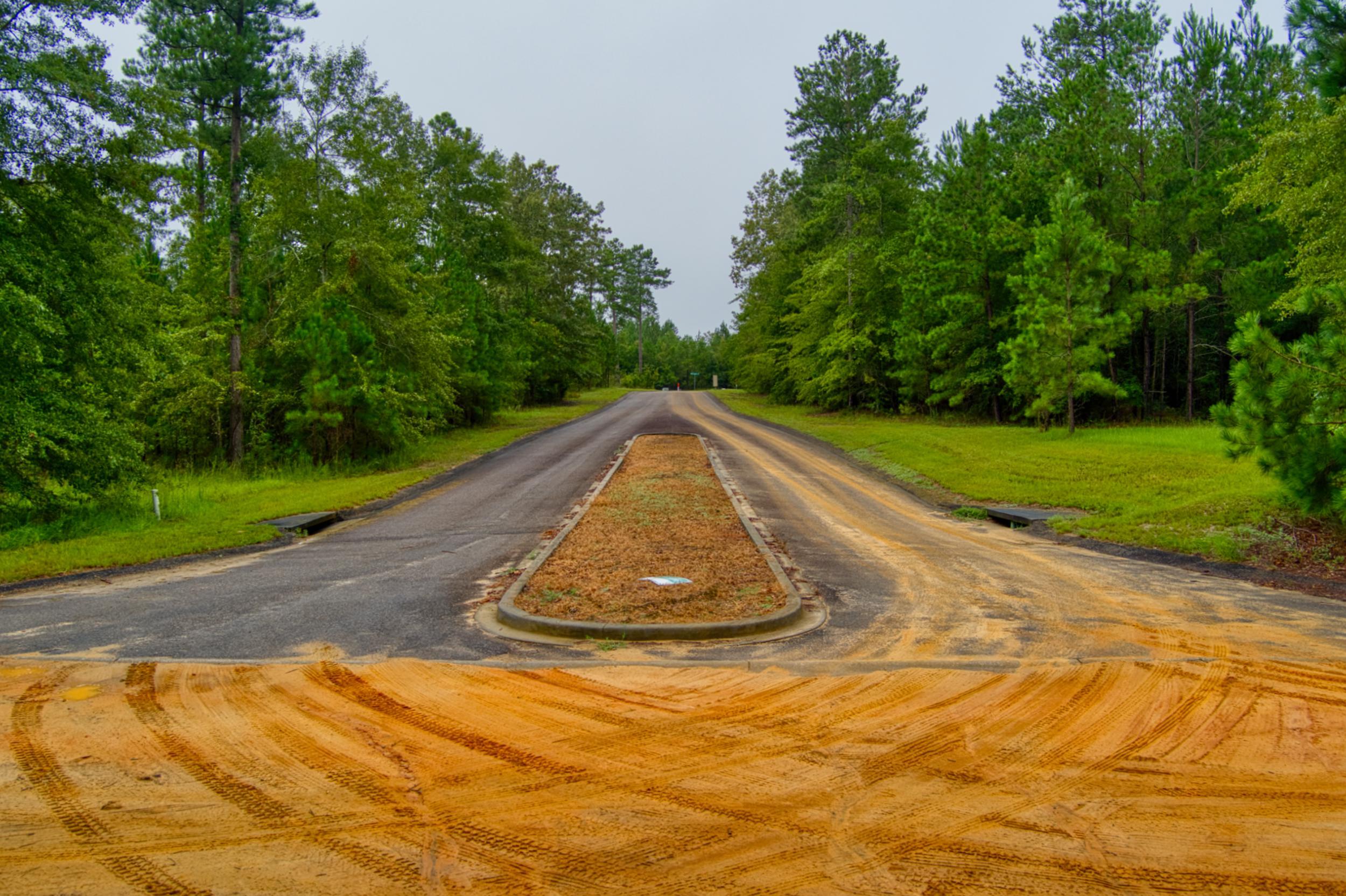 Lot 5 Cooks Pond Road Windsor, SC 29856 - Photo 7 of 23