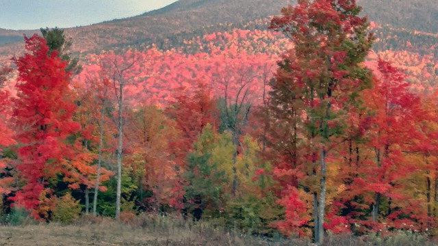310 Alstead Hill Road Keene, NY 12942 - Photo 1 of 12 Gallery Image 1
