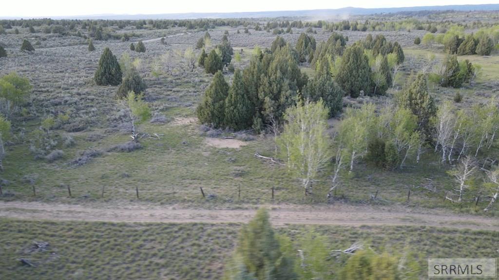 Tbd 40-ac Tbd 40-ac Arcadia Road Ashton, ID 83420 - Photo 9 of 43