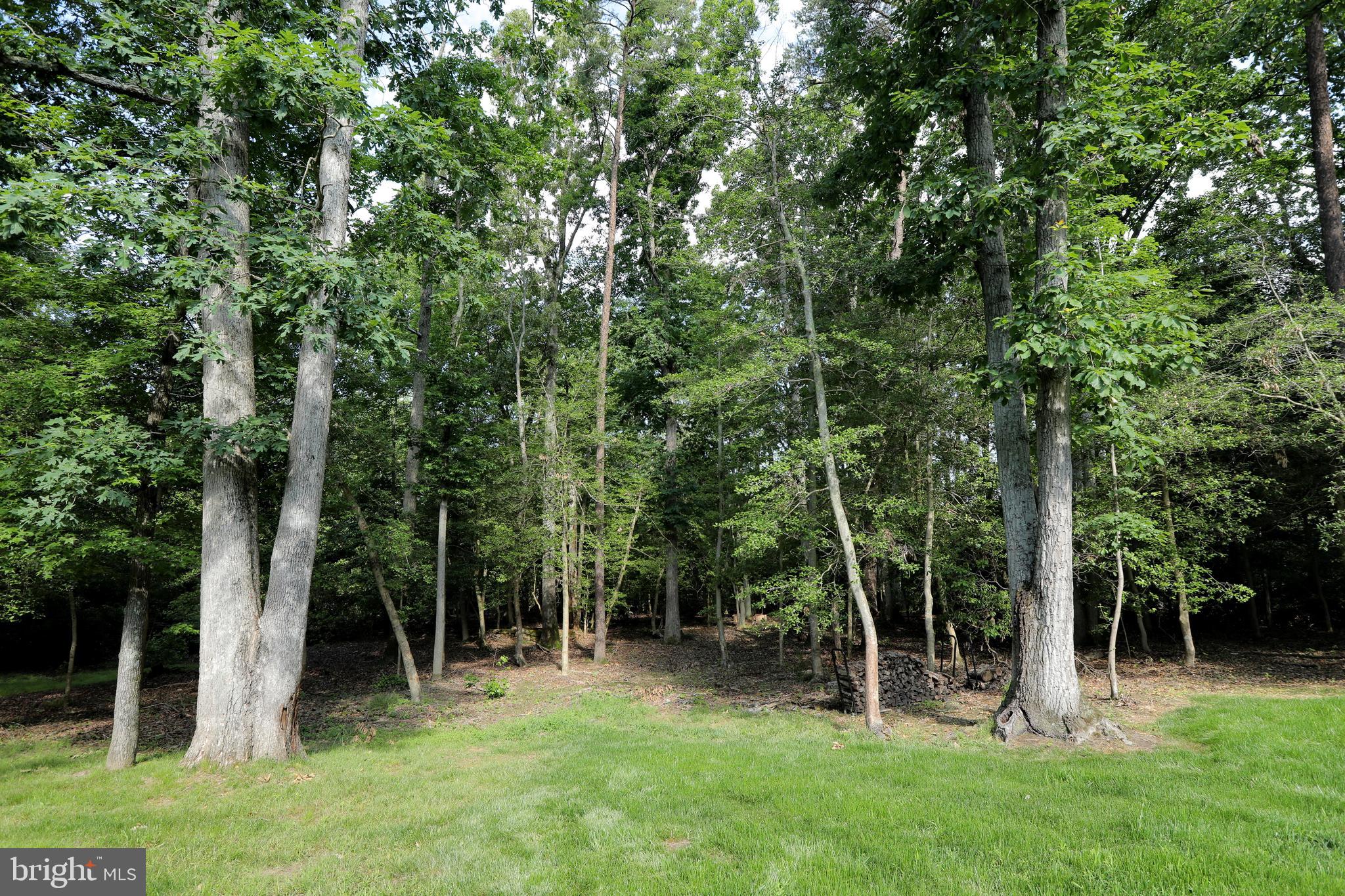 15111 Cactus Hill Road Accokeek, MD 20607 - Photo 42 of 44 a view of outdoor space with a garden and entertaining space