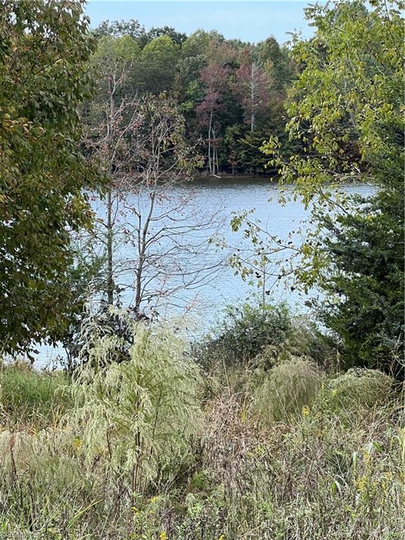 5191 Island Ford Road Randleman, NC 27317 - Photo 25 of 26 View from inside property line