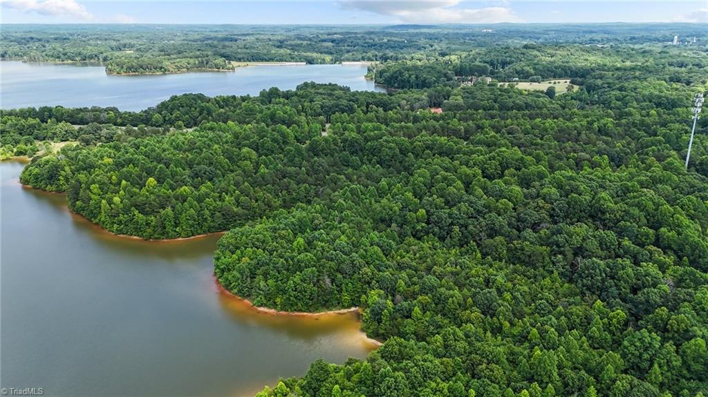 5191 Island Ford Road Randleman, NC 27317 - Photo 6 of 26 Lake edges & coves