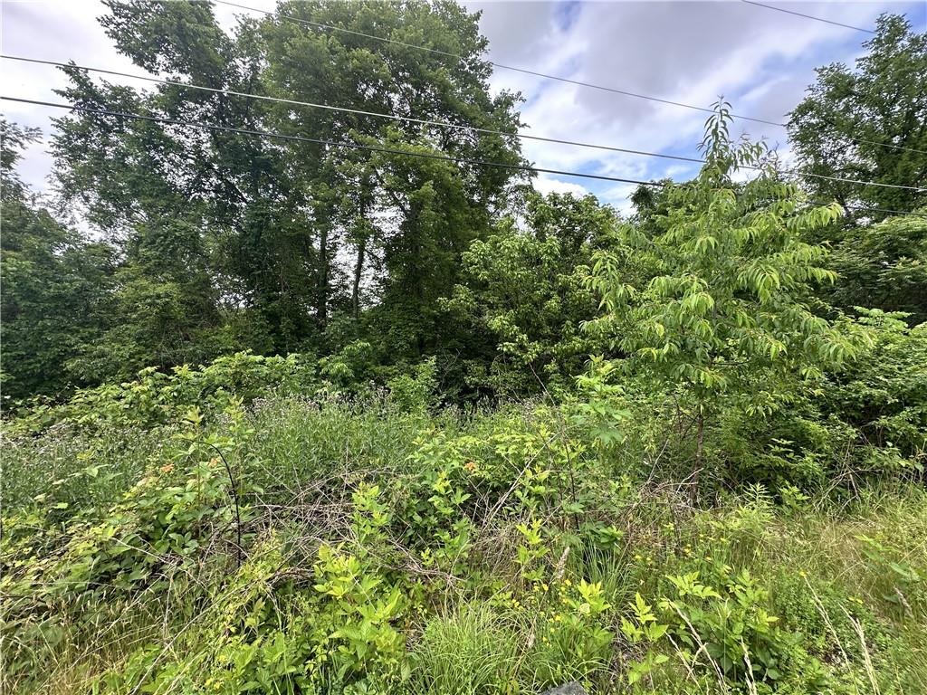 0 Alicia Heights Road Brownsville, PA 15417 - Photo 17 of 24