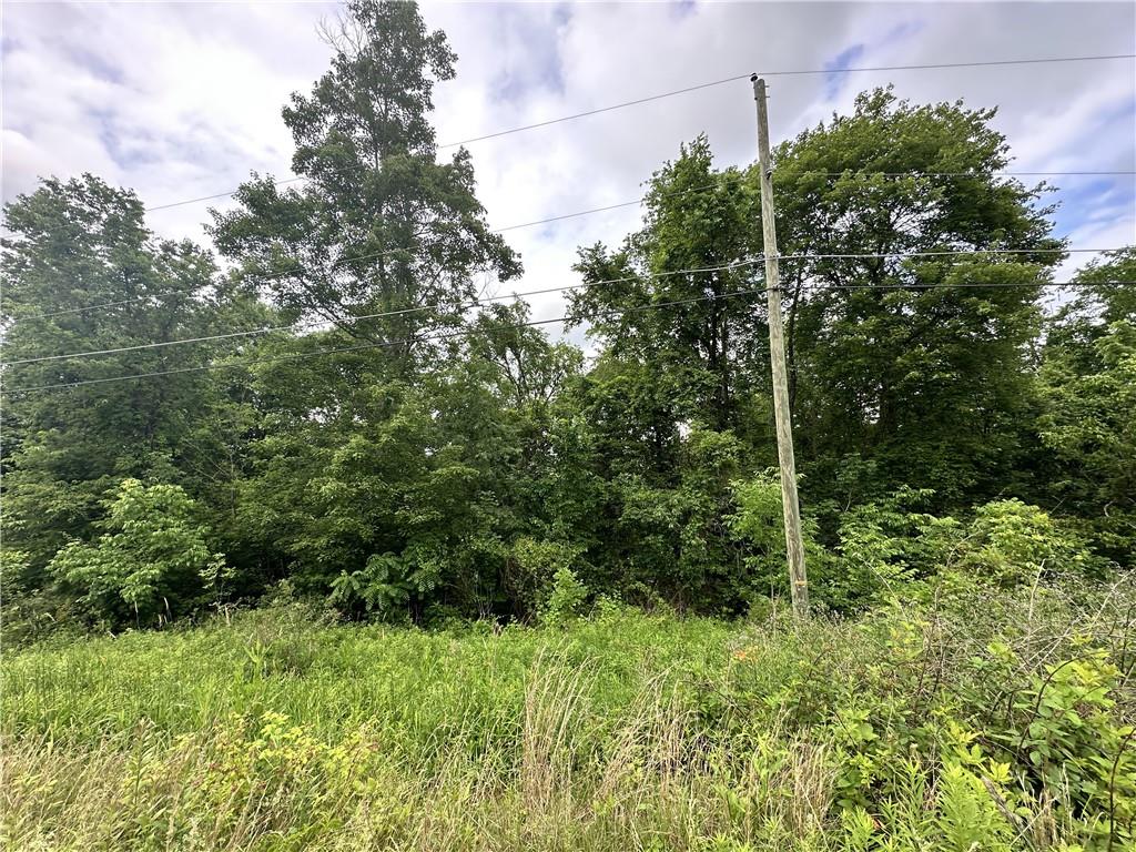 0 Alicia Heights Road Brownsville, PA 15417 - Photo 20 of 24