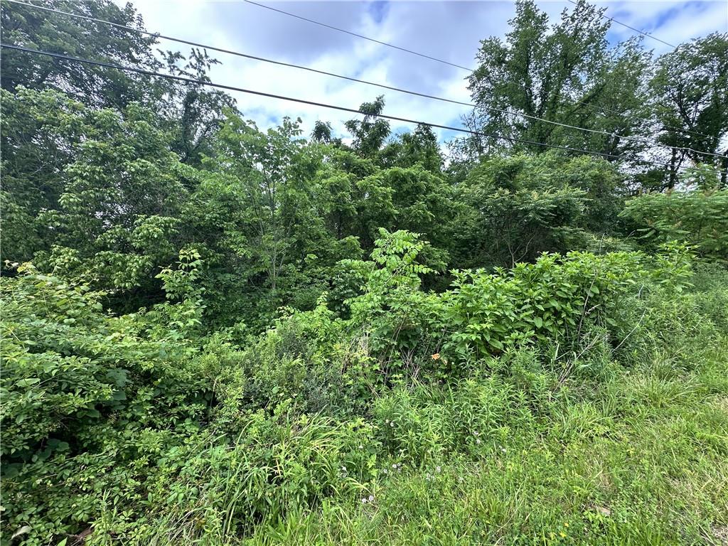 0 Alicia Heights Road Brownsville, PA 15417 - Photo 2 of 24