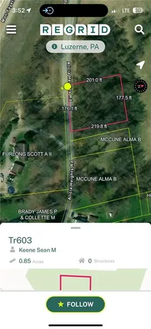 a view of a lush green forest