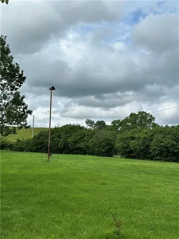 a view of a garden with a tree