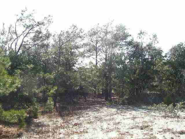 2379 Ocean Sands Road Corolla, NC 27927 - Photo 4 of 4