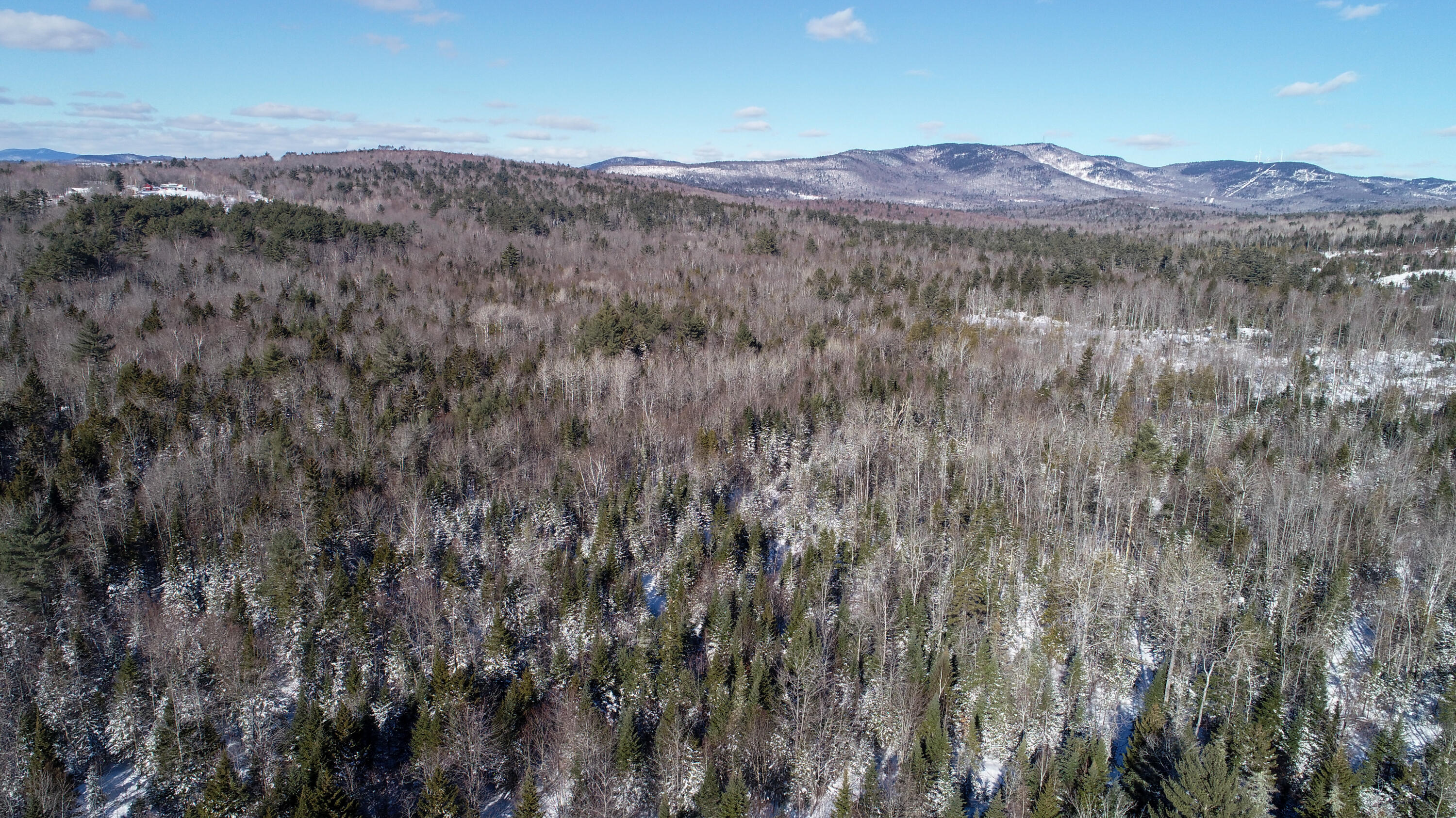 DJI_0233