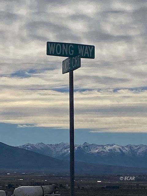Wong Way Spring Creek Spring Creek, NV 89815 - Photo 8 of 8