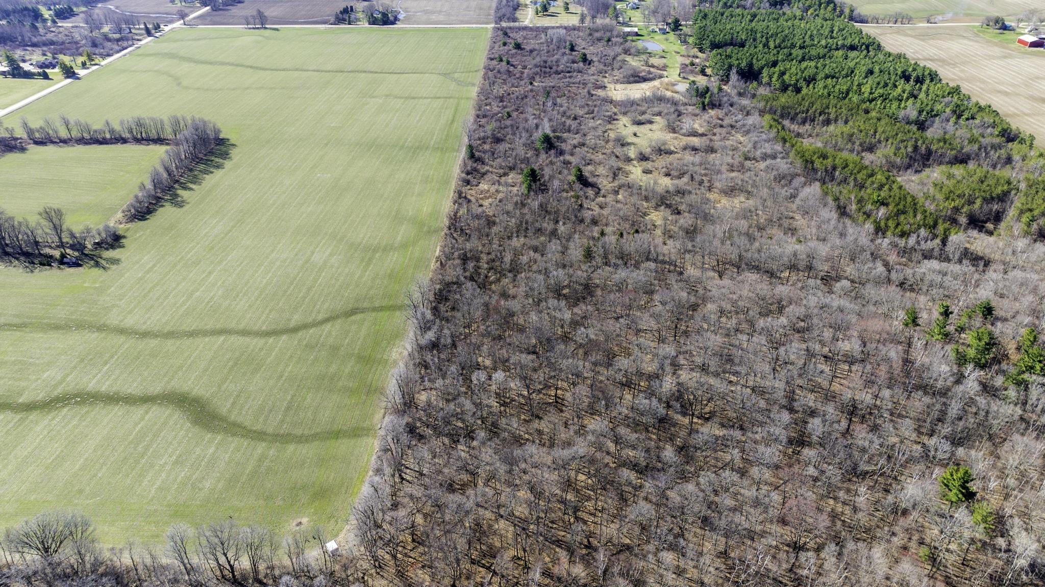 Vl Mortimer Line Road Croswell, MI 48422 - Photo 10 of 11