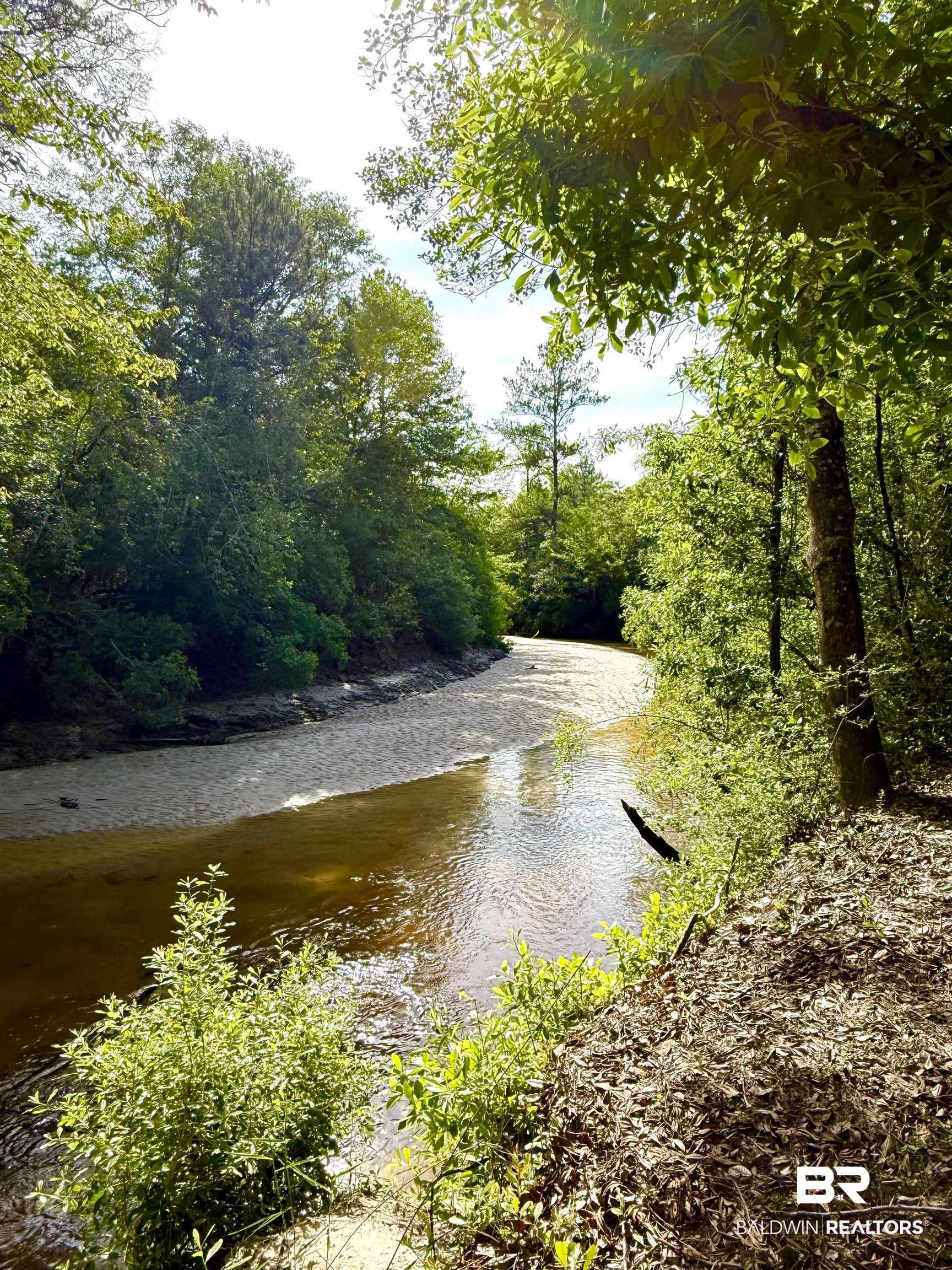 1 Mason Ferry Road Citronelle, AL 36522 - Photo 27 of 40 Natural waterway bordered by mature trees and lush green foliage