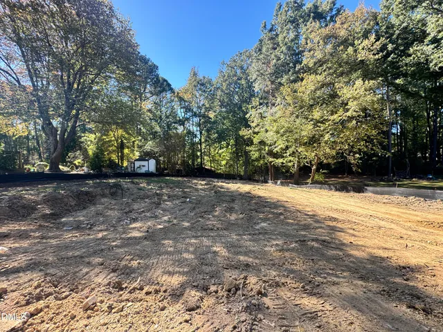 a view of a yard with plants and trees