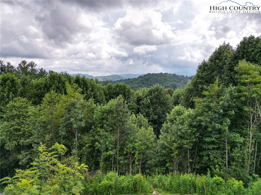 150 Tuscany Ridge Sugar Grove, NC 28679 - Photo 45 of 45 a view of a green field