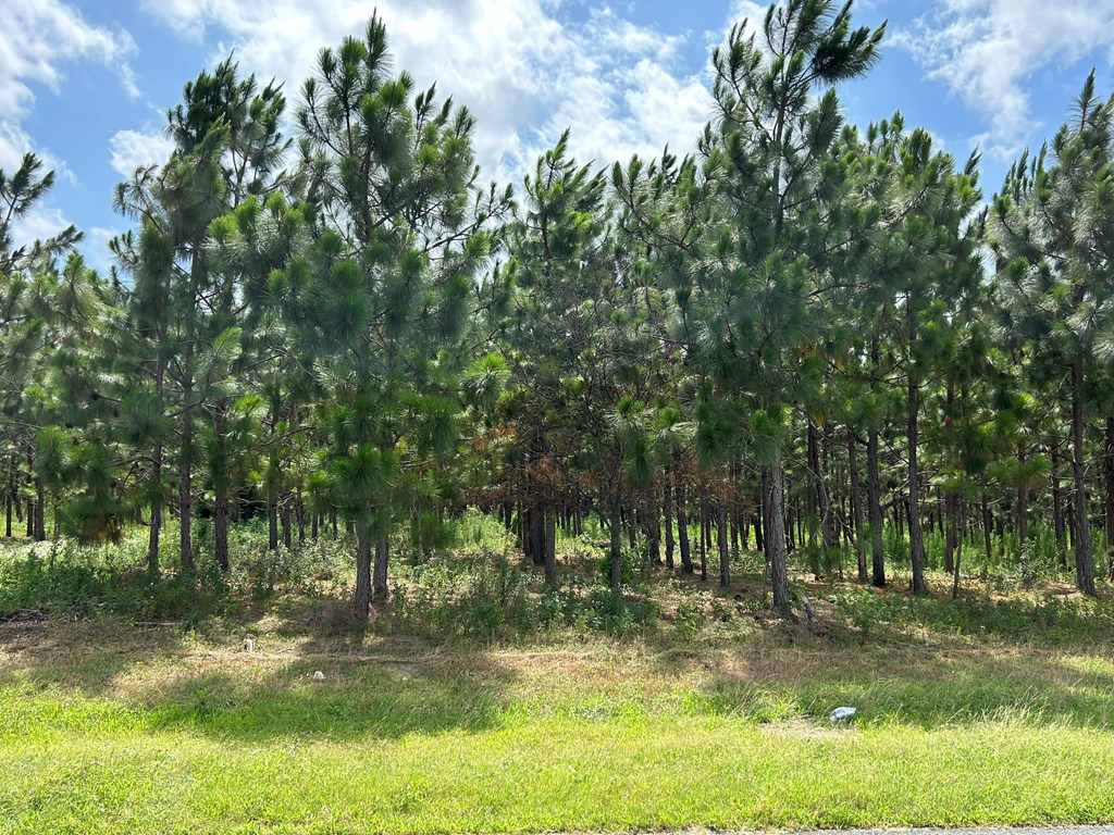 75/ Nuclear Plant Road Columbia, AL 36319 - Photo 16 of 34