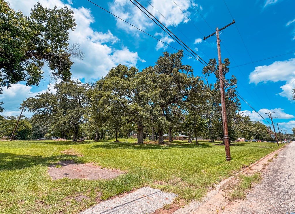 1711 West Point Tap Road Palestine, TX 75803 - Photo 5 of 17