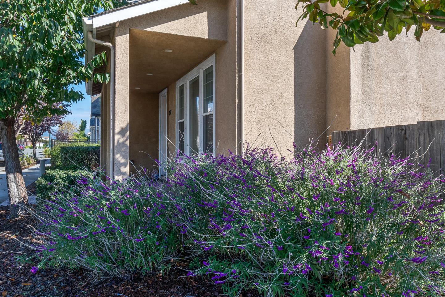 397 Chappell Road Freedom, CA 95019 - Photo 40 of 41 Gallery Image 40