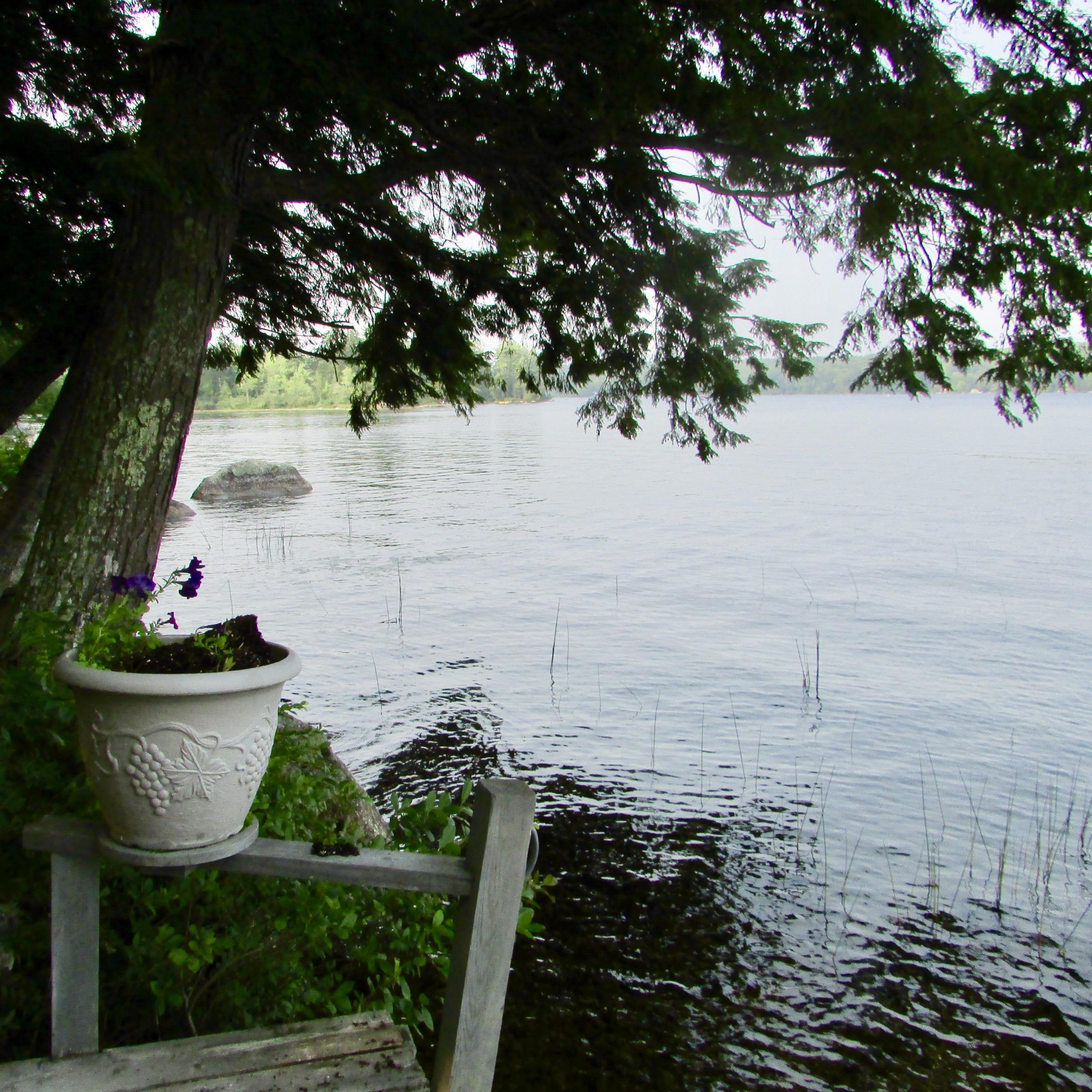 138 Lakeview Road Penobscot, ME 04476 - Photo 69 of 100 fullsizeoutput_1a0